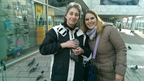 Taubenrettung Taubenkot Taubenhilfe Taubenkontrolle